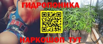 амф Можга