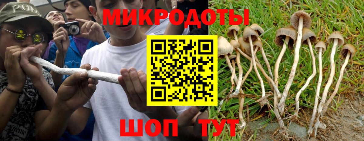 Псилоцибиновые грибы Magic Shrooms Энгельс