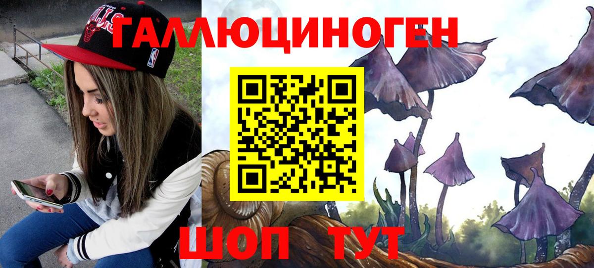 Энгельс  Галлюциногенные грибы Psilocybe  Вход с VPN 